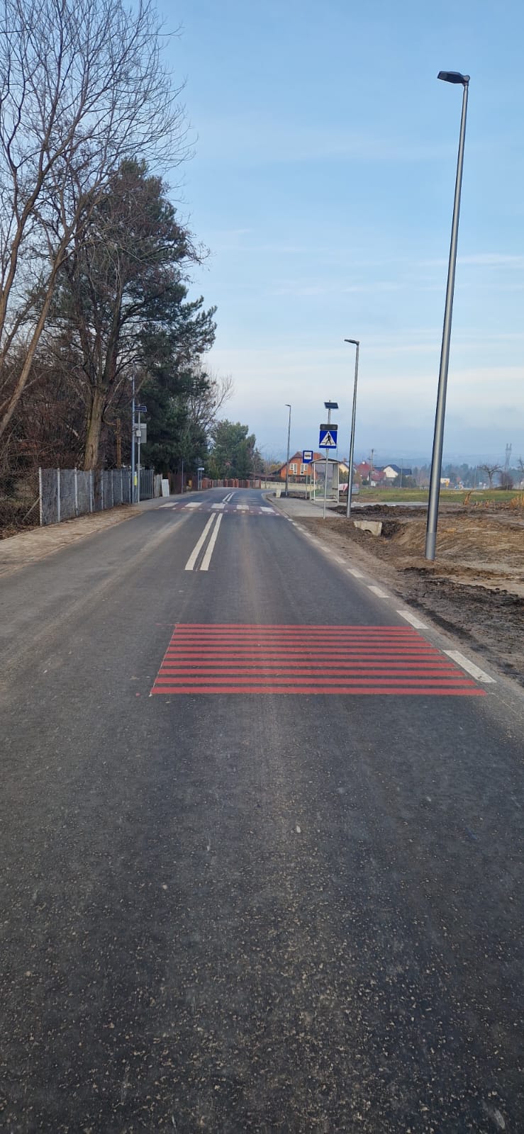 droga oraz spowalniacz prędkości po lej stronie lampa dorgowa a po prawej drzewa